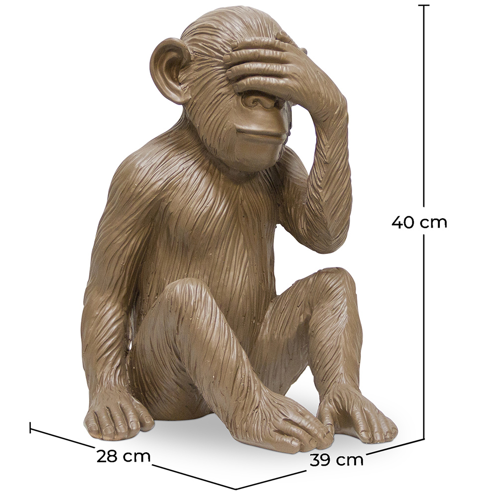 Decorative Design Figure - Blind Monkey - Sapiens image 10