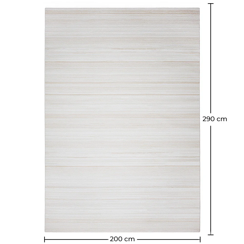 Rug Large Contemporary Modern Design - Beige (290x200 cm) - Traney image 10