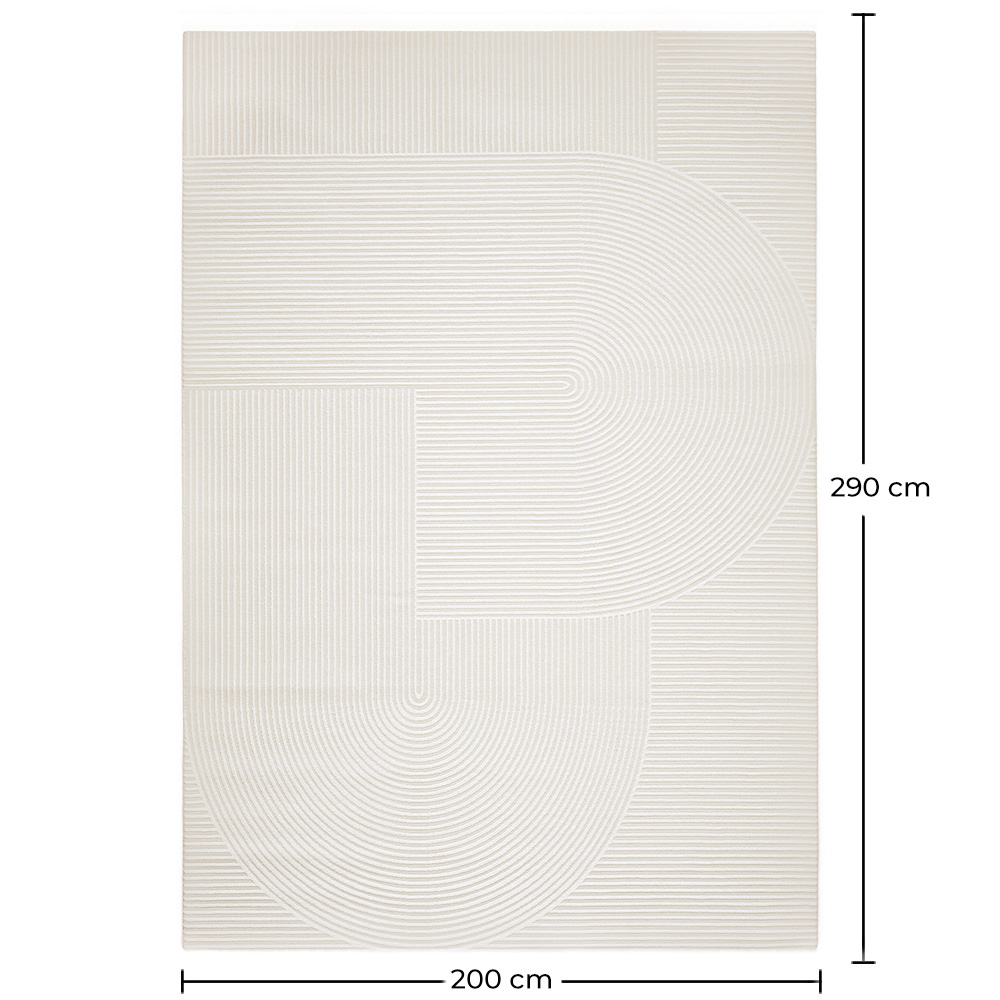 Rug Large Contemporary Modern Design - Beige (290x200 cm) - Vreis image 10