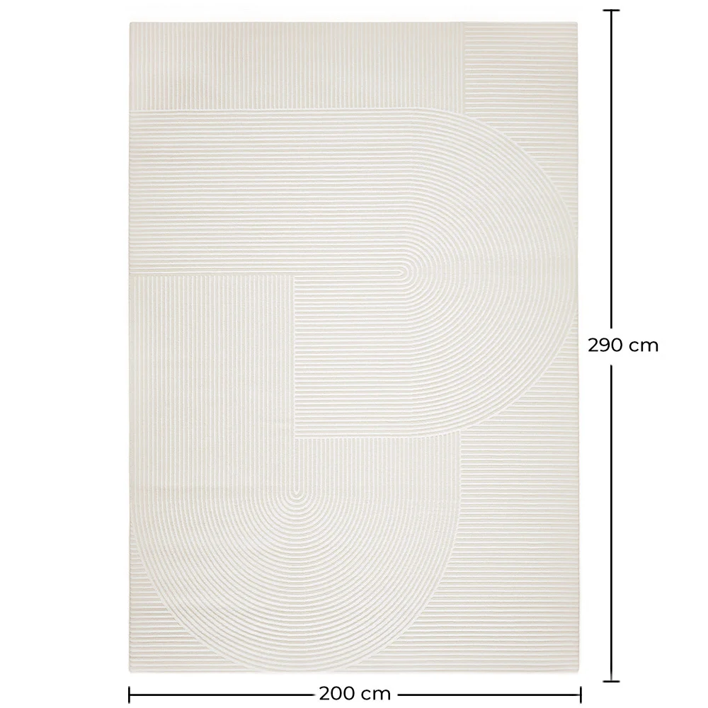 Rug Large Contemporary Modern Design - Beige (290x200 cm) - Vreis image 10
