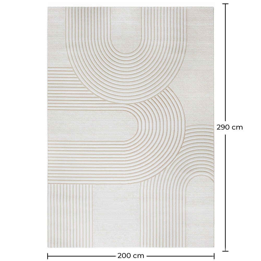 Rug Large Contemporary Modern Design - Beige (290x200 cm) - Grut image 10