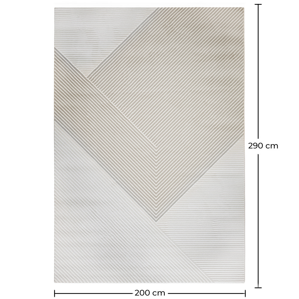 Rug Large Contemporary Modern Design - Beige (290x200 cm) - Escara image 10