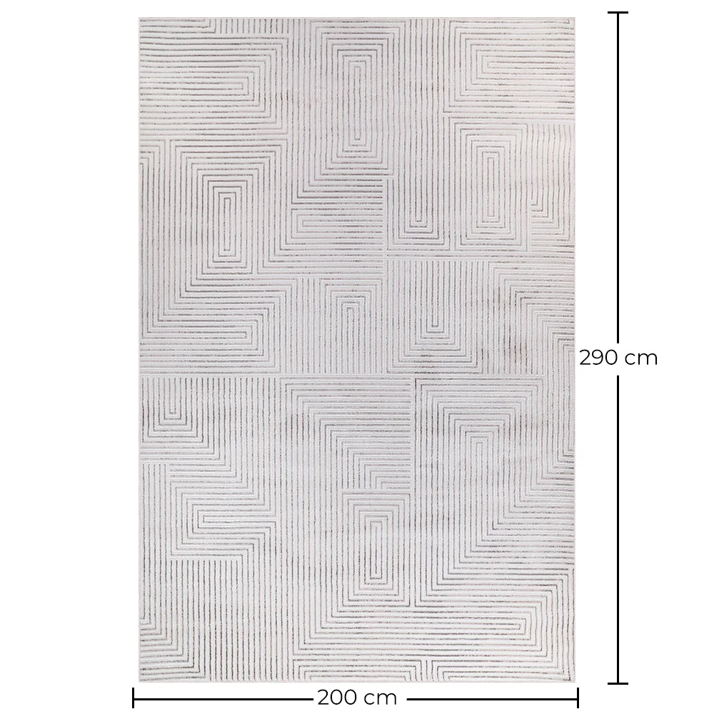 Rug Large Contemporary Modern Design - Beige (290x200 cm) - Marcellum image 10