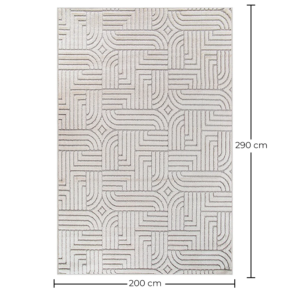Rug Large Contemporary Modern Design - Beige (290x200 cm) - Rosella image 10