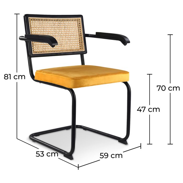 Godrej cane chair shop price