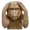 Decorative Design Figure - Deaf Monkey - Sapiens image 7