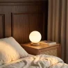 Table Lamp - Globe Design Living Room Lamp - Mon image 7