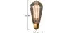 Vintage Edison Bulb - Squirrel image 7