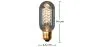 Vintage Edison Bulb - Valve image 7