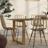 Buy Synthetic wicker dining chair  Natural wood 59254 in the United Kingdom
