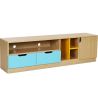 Buy Wooden TV Stand - Scandinavian Design - Yani Multicolour 59656 at Privatefloor