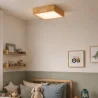 Ceiling Lamp - Plafonier - Scandinavian Design - Teray image 7