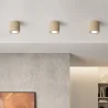 Wooden Ceiling Spotlight - Treva image 7