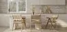Dining Chair in Cane Rattan - with Armrests - Kane image 7