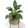 Round Floor Planter - Boho Style - Fusión image 7