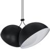 Buy Pendant Lamp - 2 LED Spots - Dual Black 61257 - prices