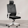 Ergonomic Office Chair with Wheels and Armrests - Ergal image 7