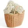 Rattan Basket with Handles - Keray image 7