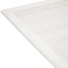 Rug Large Contemporary Modern Design - Beige (290x200 cm) - Pestra image 7