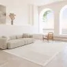 Rug Large Contemporary Modern Design - Beige (290x200 cm) - Pestra image 7