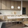 Dining Chair Transparent - Victoria Style image 7