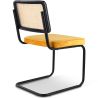 Dining Chair - Upholstered in Velvet - Wood & Rattan - New Edition - Puila image 7
