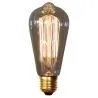 Vintage Edison Bulb - Squirrel image 7