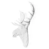 Wall Decoration - White Moose Head - Uka image 7