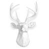 Buy Wall Decoration - White Deer Head - Uka White 55737 - in the UK