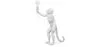 Table Lamp - Monkey Living Room Lamp - Resina image 7