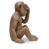 Buy Decorative Design Figure - Blind Monkey - Sapiens Brown 58446 at Privatefloor