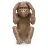 Decorative Design Figure - Deaf Monkey - Sapiens image 7