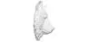 Wall Decoration - White Bear Head - Uka image 7
