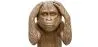 Decorative Design Figure - Deaf Monkey - Sapiens image 7