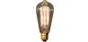 Vintage Edison Bulb - Squirrel image 9