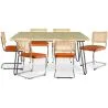 Buy Pack Hairpin Dining Table 150x90 & 6 Black Mesh Rattan and Velvet Chairs - Martha Reddish orange 60581