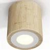 Wooden Ceiling Spotlight - Treva image 9