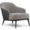 Buy  Velvet Upholstered Armchair - Luc Dark grey 60704