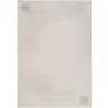Rug Large Contemporary Modern Design - Beige (290x200 cm) - Cyru image 9
