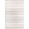 Rug Large Contemporary Modern Design - Beige (290x200 cm) - Ferrum image 9