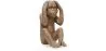 Decorative Design Figure - Deaf Monkey - Sapiens image 9