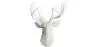 Wall Decoration - White Deer Head - Uka image 9