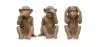 Decorative Design Figures - Monkeys - Sapiens image 9