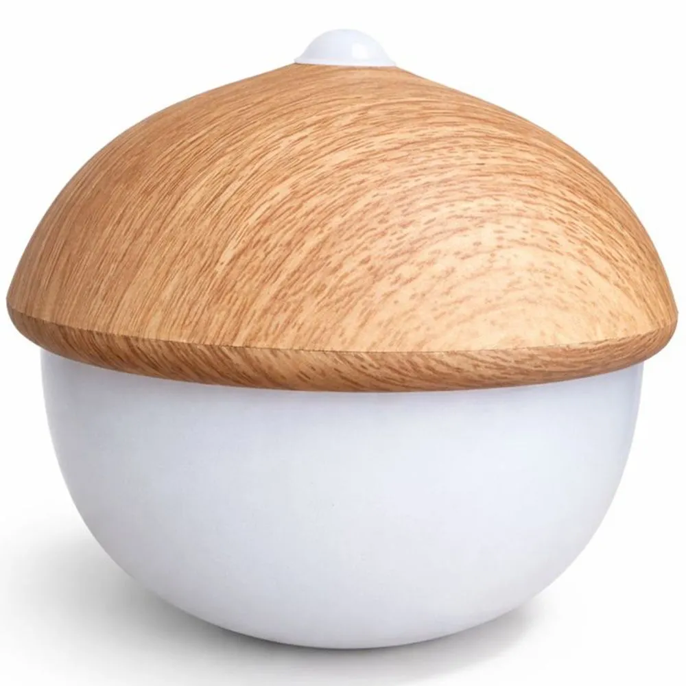 Table Lamp USB Rechargeable LED with Touch Sensor – Warm Light – Acorn image 8