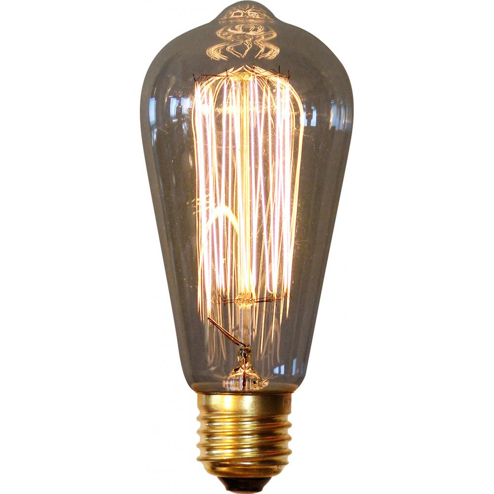  Buy Vintage Edison Bulb - Squirrel Transparent 50774 - in the UK