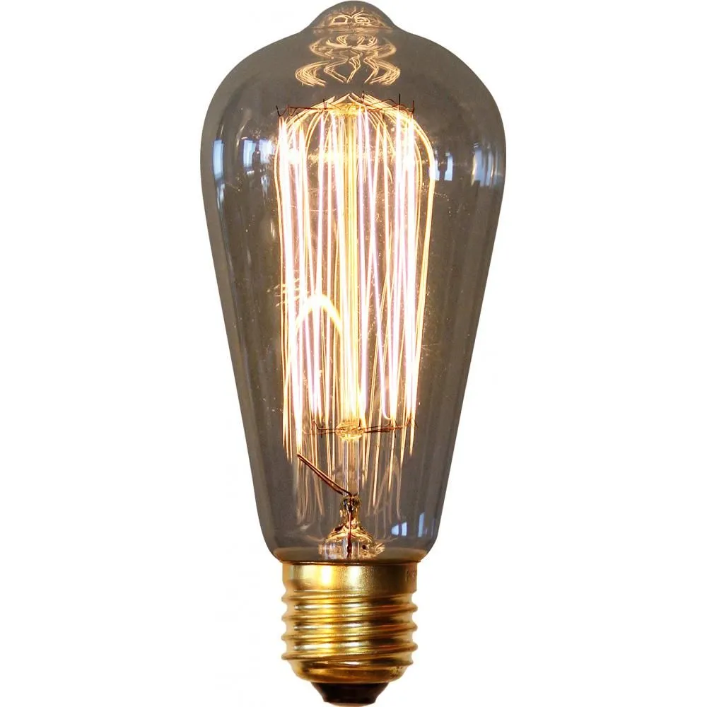 Vintage Edison Bulb - Squirrel image 8