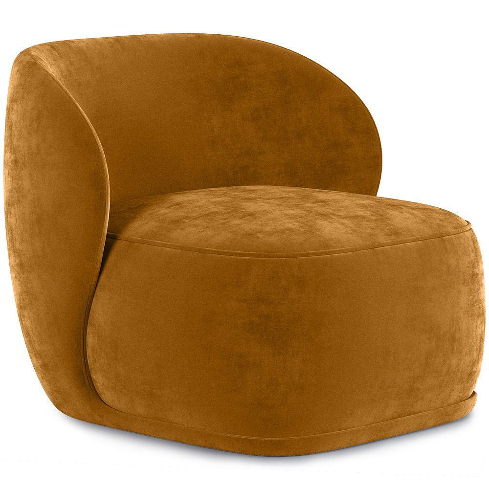 Velvet Upholstered Armchair - Mykel image 8