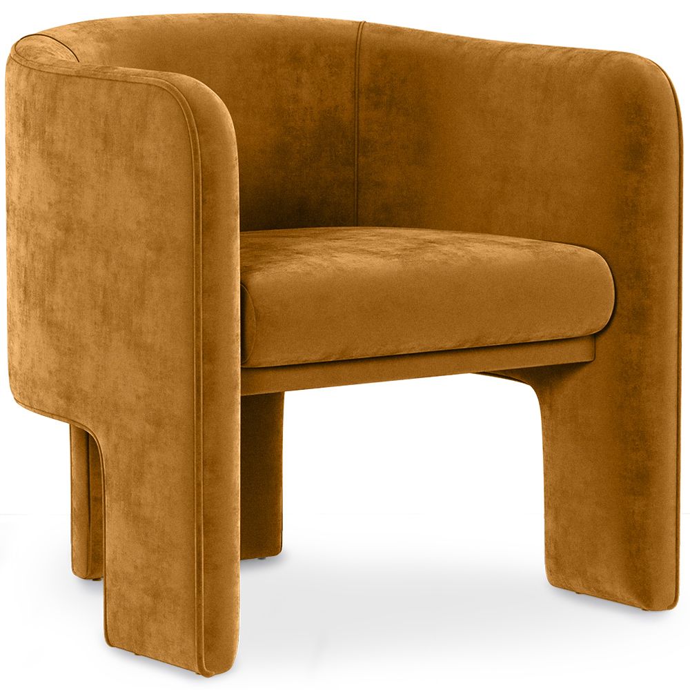 Velvet Upholstered Armchair - Callum image 8