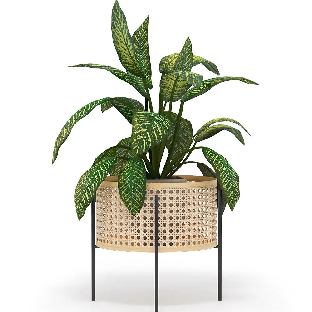 Round Floor Planter - Boho Style - Fusión image 8