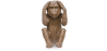 Decorative Design Figure - Deaf Monkey - Sapiens image 7